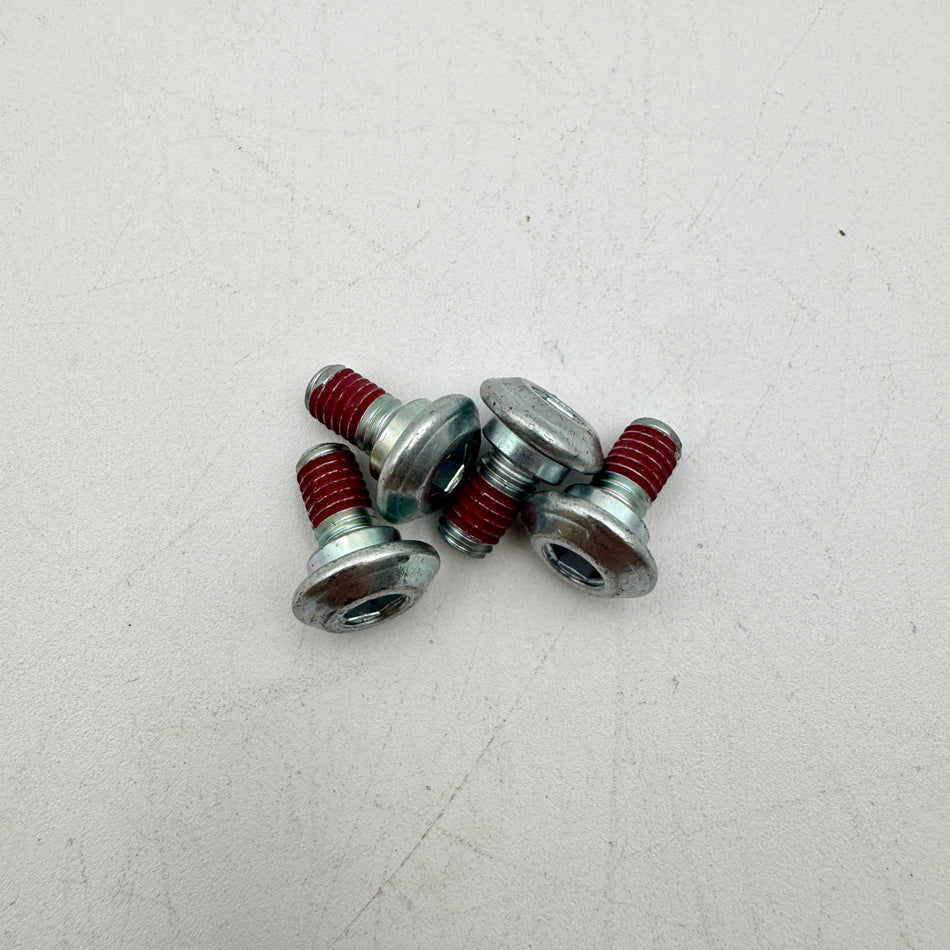 M6X10-FA Kawi Rotor Bolt